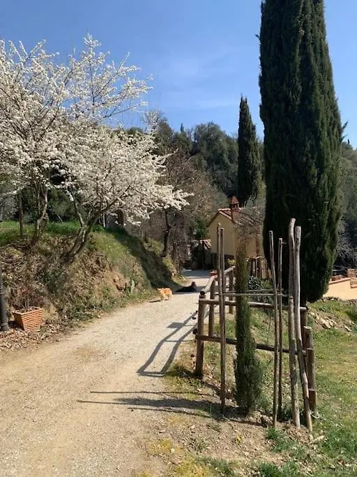 Vila Casale I Due Cipressi Cortona Prázdninový dům