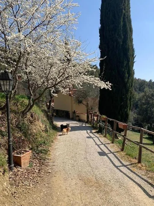 Casale I Due Cipressi Cortona Villa Italy