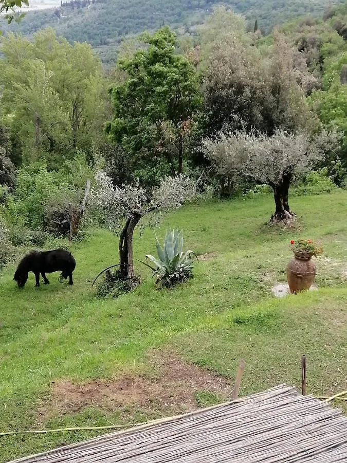 Casale I Due Cipressi Cortona Villa Holiday home